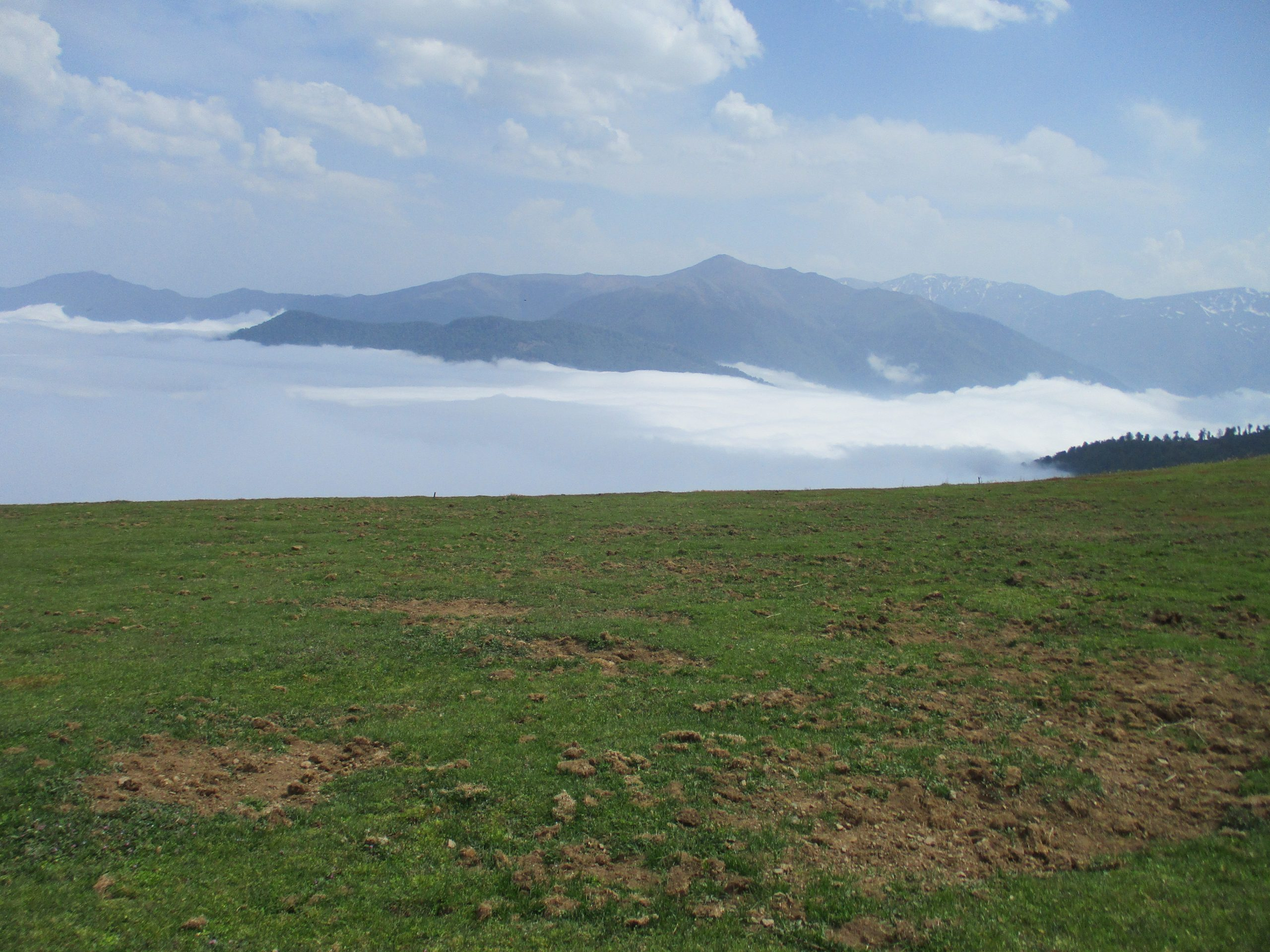 MolBahar Mountain Peak's View نمای قله ملبهار شفت